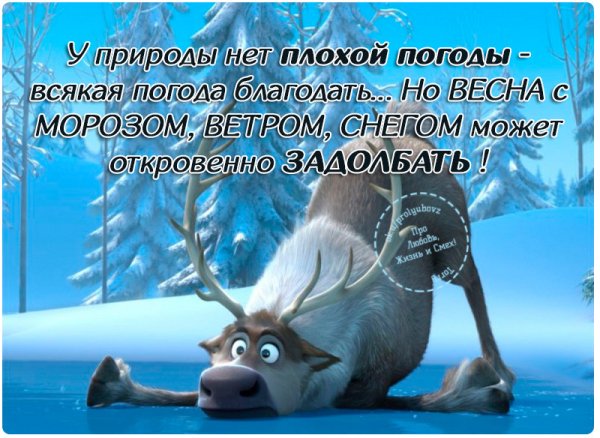 Прикольные пожелания со смыслом