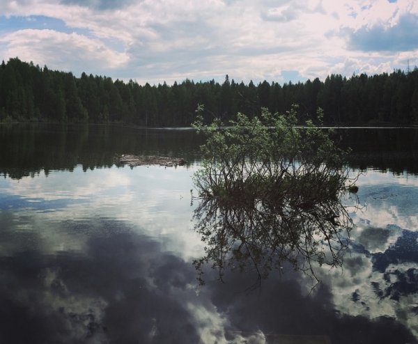 Бушковский лес озеро шайтан