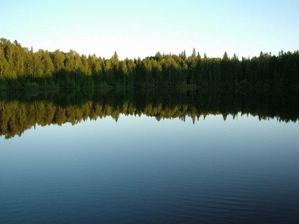 Бушковский лес озеро шайтан