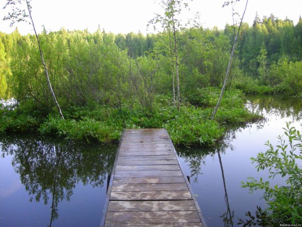 Бушковский лес озеро шайтан