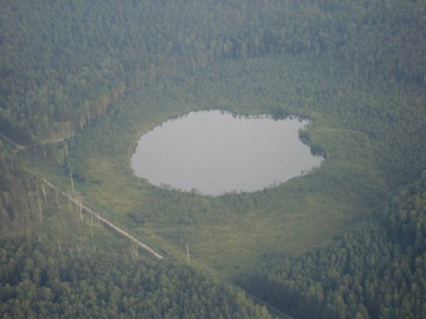 Бушковский лес Кировской области
