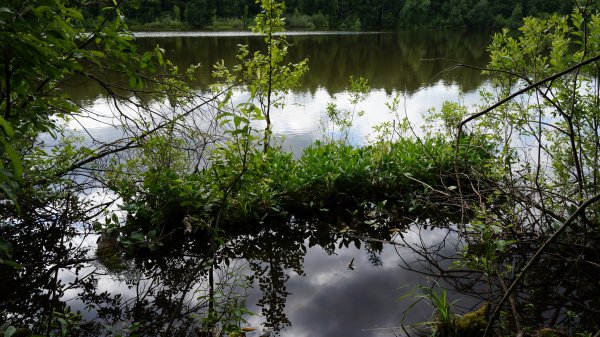 Озеро шайтан Уржумский район Кировская область