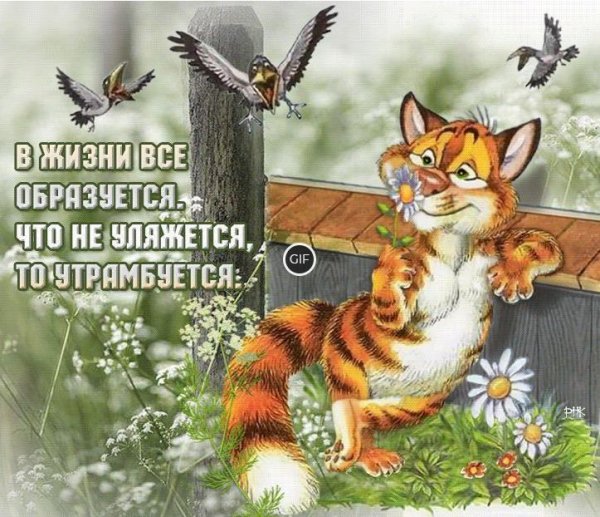 Все будет хорошо открытки прикольные