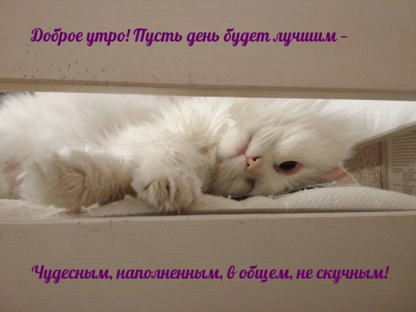 Пусть день наполнится