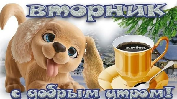 С добрым утром вторника