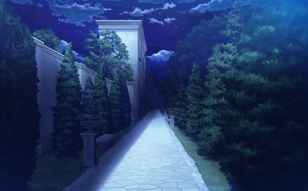 Аниме парк ночью