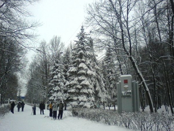 Парк Победы Ульяновск зимой