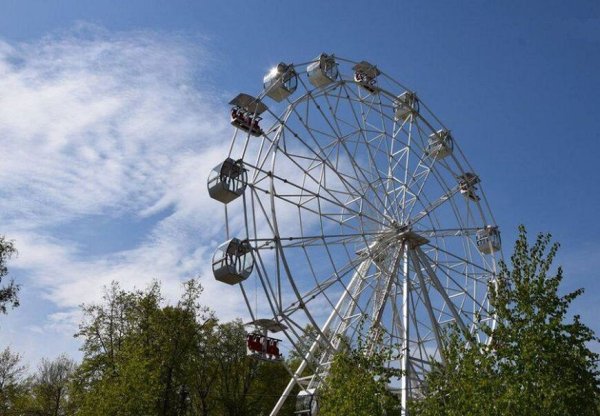 Винновская роща колесо обозрения