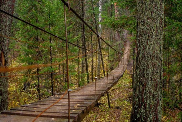 Оленьи ручьи природный парк