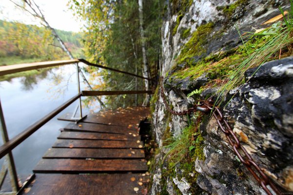 Эко парк Оленьи ручьи