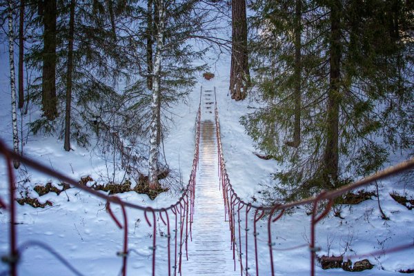 Парк Оленьи ручьи зимой