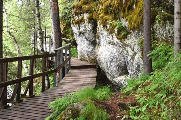 Оленьи ручьи заповедник