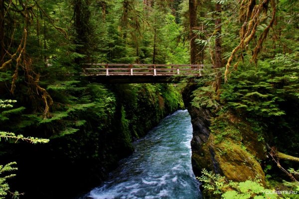 Национальный парк «Олимпик», штат Вашингтон