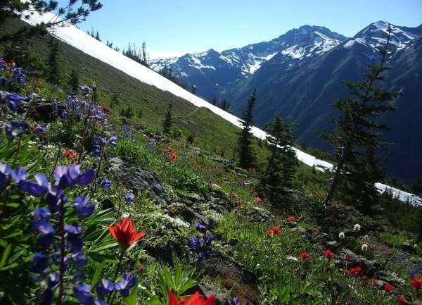 Национальный парк «Олимпик», штат Вашингтон