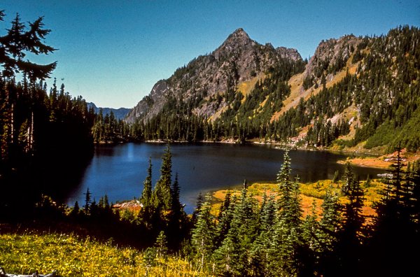 США штат Вашингтон нац парк Олимпик