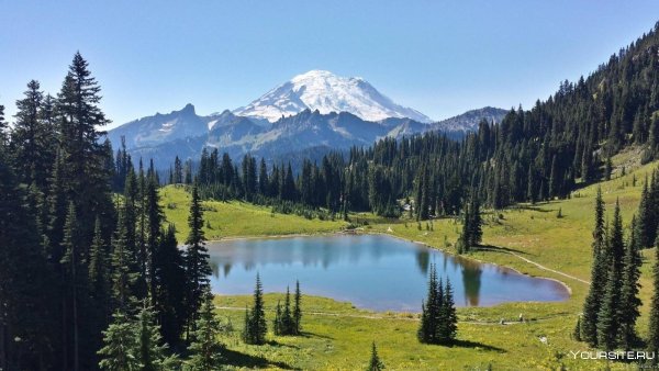Парк Олимпик США