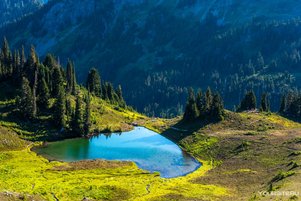 Национальный парк Олимпик штат Вашингтон США