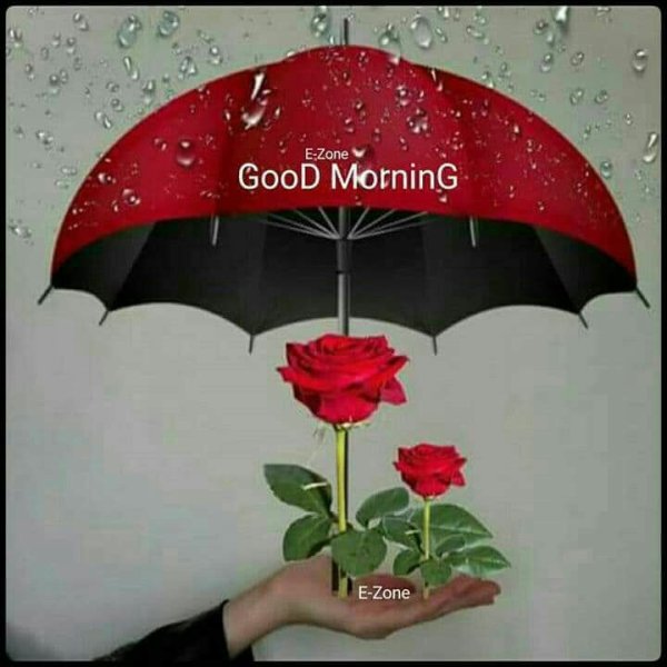 Доброе утро с зонтиком