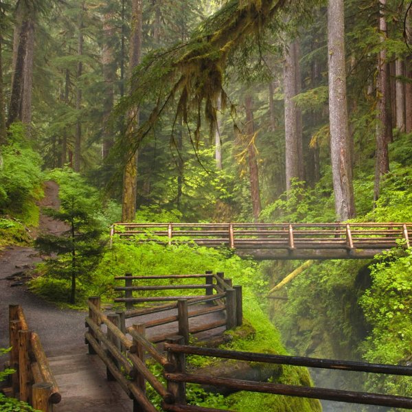 Национальный парк Олимпик в штате Вашингтон площадь