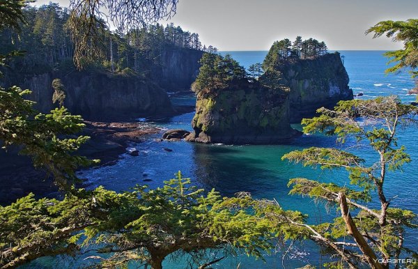 Национальный парк Олимпик (Olympic National Park)