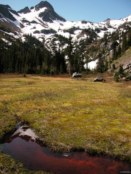 Национальный парк Олимпик (Olympic National Park)