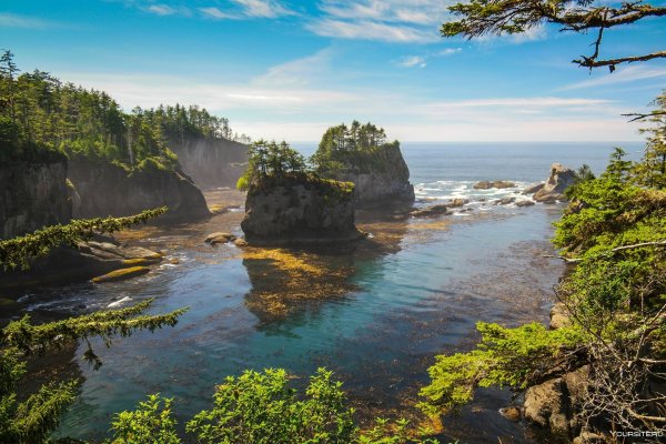 Национальный парк Олимпик штат Вашингтон США