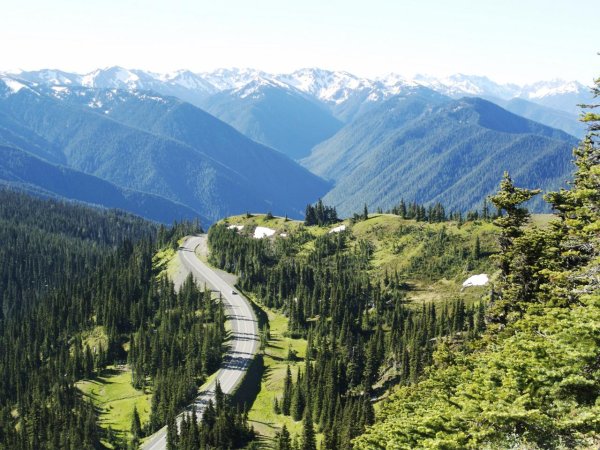 Хребет Харрикейн