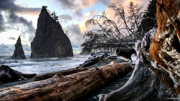 Нац парк Олимпик Вашингтон