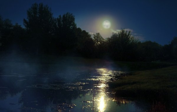 Лунная дорожка на реке