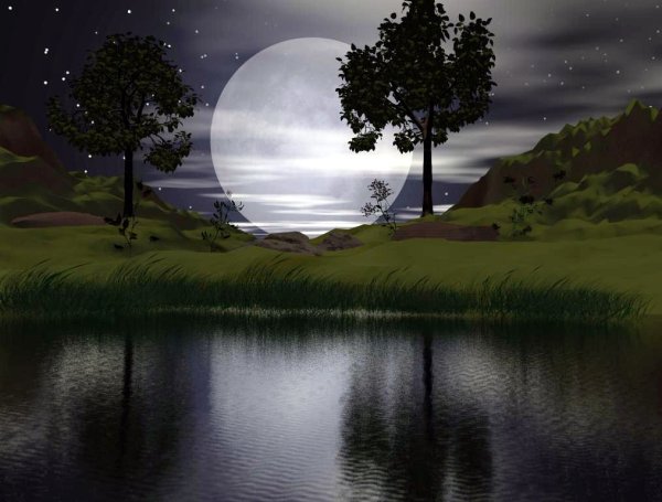 Ночной пруд при Луне