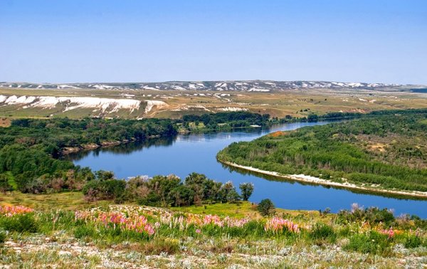 Природный парк Донской Волгоградская область
