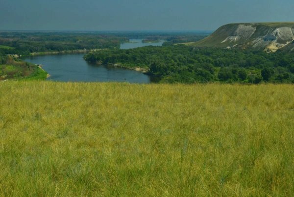 Донской природный парк Ростовская область