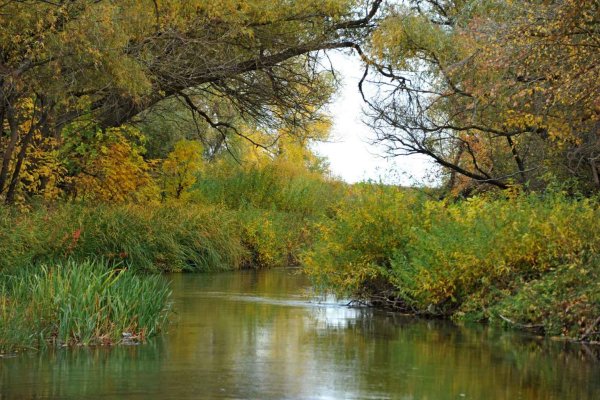 Природный парк Донской Волгоградская область