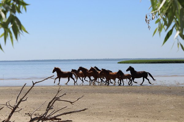 Донской заповедник
