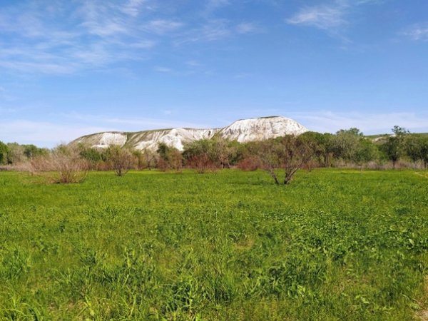 Донской заповедник Волгоградская