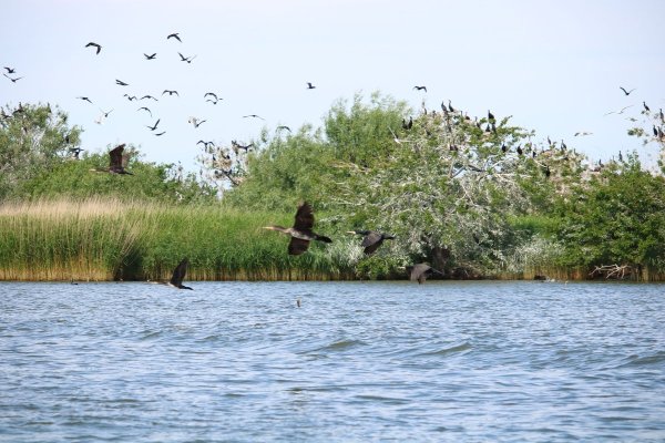 Донской природный парк Рогожкино