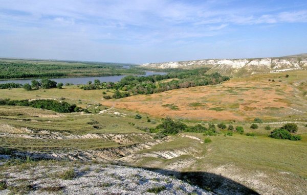 Парк Донской Волгоградская область