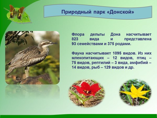 Природный парк Донской Флора