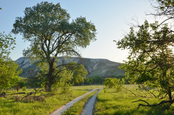 Донской природный парк Ростовская область
