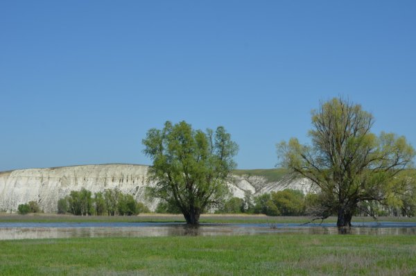 Донской заповедник Волгоградская