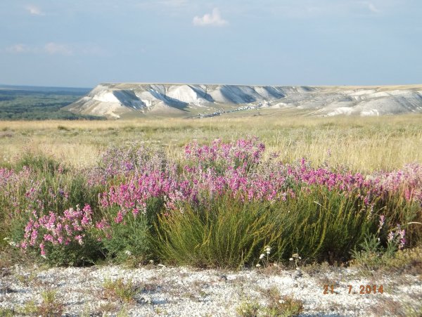 Щербаковский природный парк меловые горы