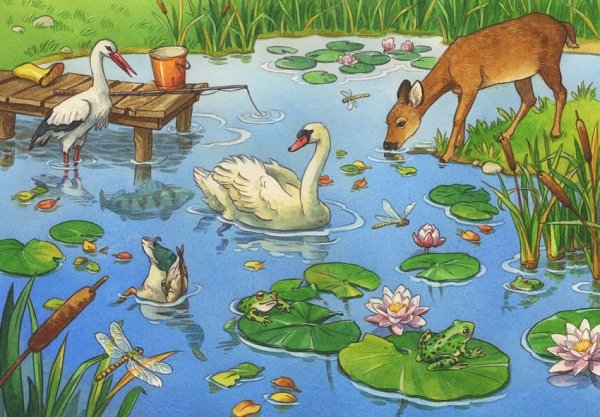 Обитатели прудов и водоемов