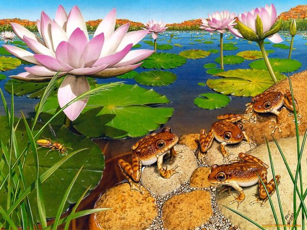 Пейзаж с лягушками