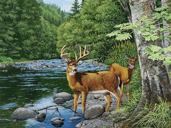 Олени на берегу реки