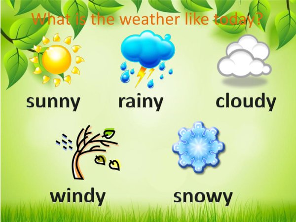 What the weather like today