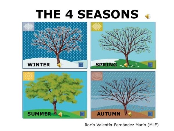 Seasons карточки