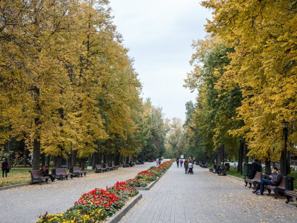 Центральный парк им Горького Казань