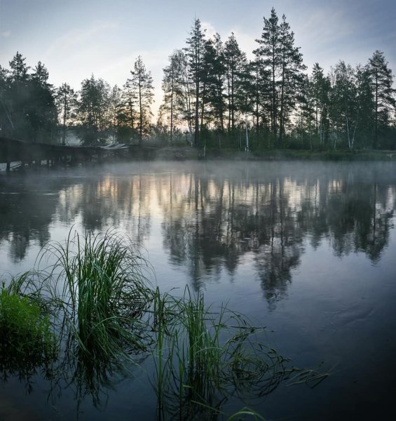 Национальный парк Мещерский Рязань
