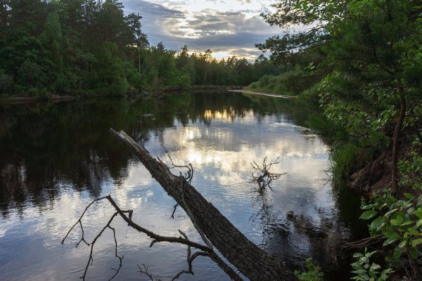 Национальный парк Мещера Рязанская область