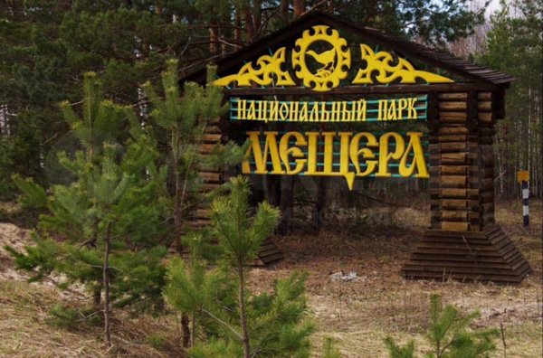 Парк Мещера во Владимирской области